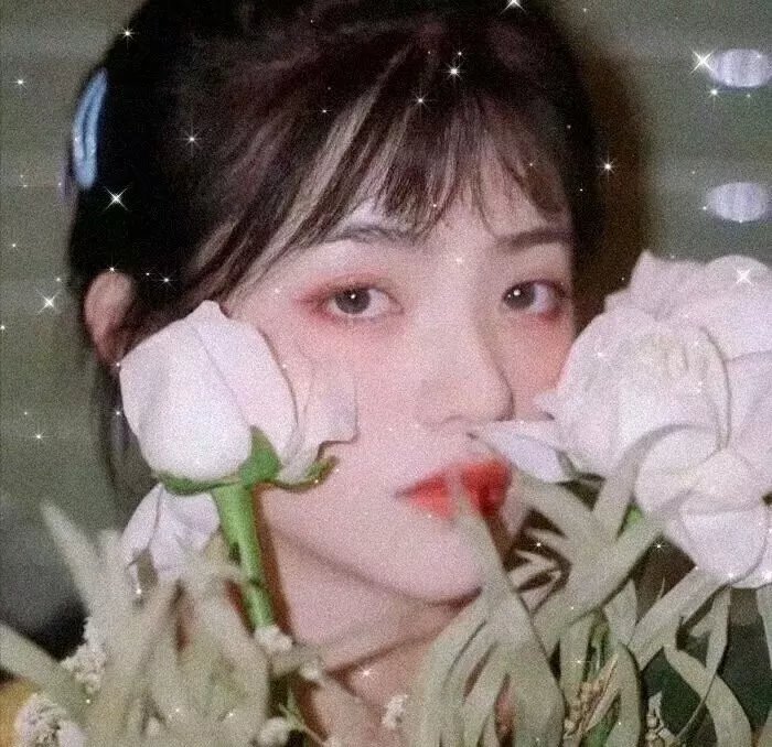 我爱看美眉
